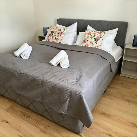 Ferienwohnung Graf, Balkon, Parkplatz, Kuche, Grosses Wohnzimmer Mit Fernseher Apartment Regen